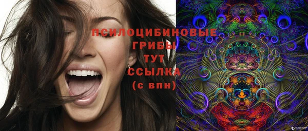 дмт Алексеевка