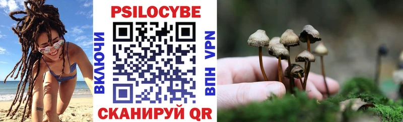 Псилоцибиновые грибы GOLDEN TEACHER  магазин продажи   Морозовск 
